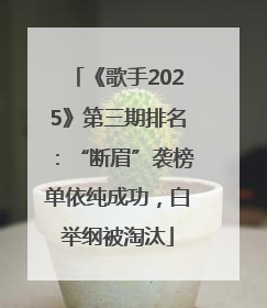 《歌手2025》第三期排名：“断眉”袭榜单依纯成功，白举纲被淘汰
