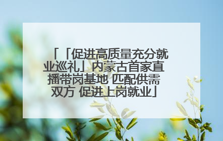 「促进高质量充分就业巡礼」内蒙古首家直播带岗基地 匹配供需双方 促进上岗就业