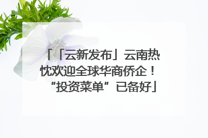 「云新发布」云南热忱欢迎全球华商侨企！“投资菜单”已备好