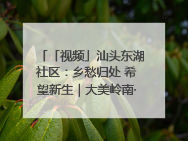 「视频」汕头东湖社区：乡愁归处 希望新生｜大美岭南·百村焕新记