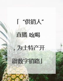 “供销人” 直播 吆喝，为土特产开辟数字销路