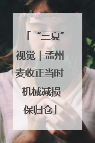 “三夏”视觉｜孟州麦收正当时 机械减损保归仓