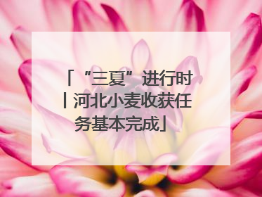 “三夏”进行时丨河北小麦收获任务基本完成