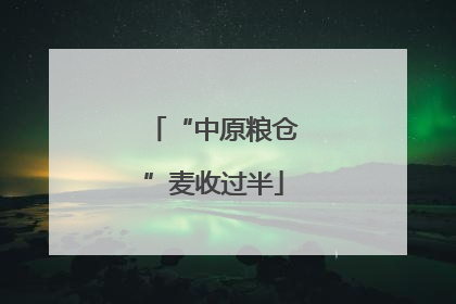 “中原粮仓”麦收过半