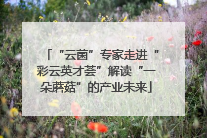 “云菌”专家走进“彩云英才荟”解读“一朵蘑菇”的产业未来