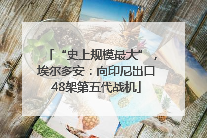 “史上规模最大”，埃尔多安：向印尼出口48架第五代战机