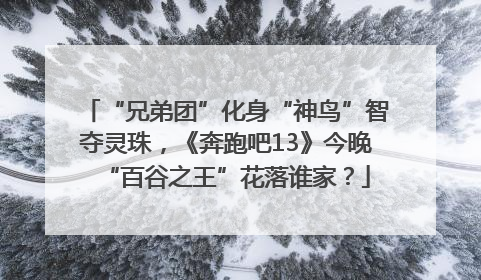 “兄弟团”化身“神鸟”智夺灵珠，《奔跑吧13》今晚“百谷之王”花落谁家？