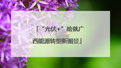 “光伏+”绘就广西能源转型新图景