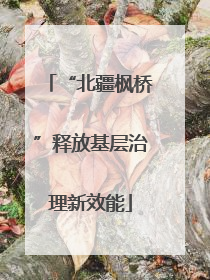 “北疆枫桥”释放基层治理新效能