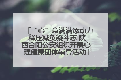 “心”意满满添动力 释压减负凝斗志 陕西合阳公安组织开展心理健康团体辅导活动