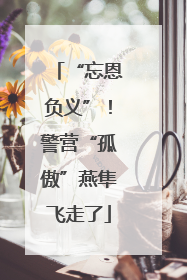“忘恩负义”！警营“孤傲”燕隼飞走了