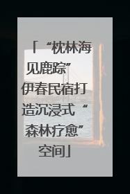 “枕林海见鹿踪” 伊春民宿打造沉浸式“森林疗愈”空间