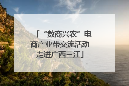 “数商兴农”电商产业带交流活动走进广西三江