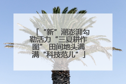 “新”潮澎湃勾勒活力“三夏耕作图” 田间地头满满“科技范儿”