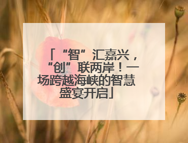 “智”汇嘉兴，“创”联两岸！一场跨越海峡的智慧盛宴开启