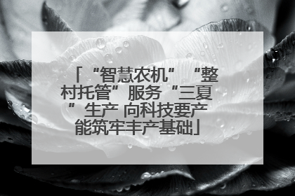 “智慧农机”“整村托管”服务“三夏”生产 向科技要产能筑牢丰产基础