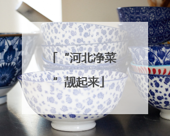 “河北净菜”靓起来