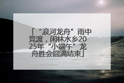 “浪河龙舟”雨中竞渡，闲林水乡2025年“小端午”龙舟胜会圆满结束