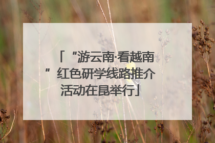 “游云南·看越南”红色研学线路推介活动在昆举行
