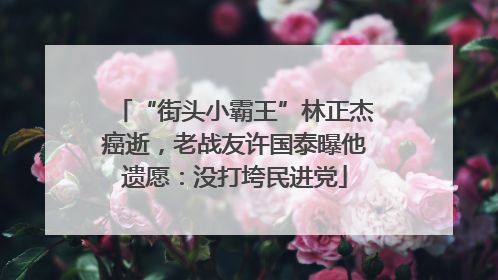 “街头小霸王”林正杰癌逝，老战友许国泰曝他遗愿：没打垮民进党
