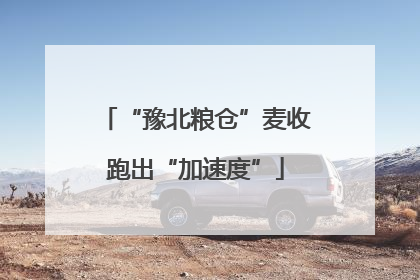 “豫北粮仓”麦收跑出“加速度”