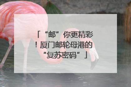 “邮”你更精彩！厦门邮轮母港的“复苏密码”