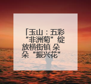 玉山：五彩“非洲菊”绽放横街镇 朵朵“振兴花”催生乡村共富图景