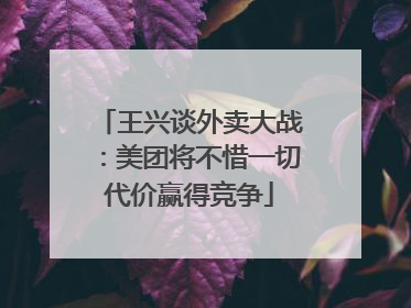 王兴谈外卖大战：美团将不惜一切代价赢得竞争