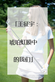王征宇：琥珀虹膜中的我们
