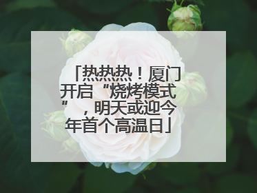 热热热！厦门开启“烧烤模式”，明天或迎今年首个高温日