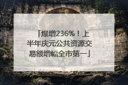 爆增236%！上半年庆元公共资源交易额增幅全市第一