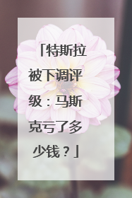 特斯拉被下调评级：马斯克亏了多少钱？