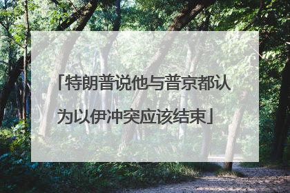 特朗普说他与普京都认为以伊冲突应该结束