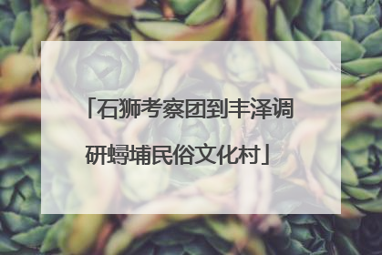 石狮考察团到丰泽调研蟳埔民俗文化村