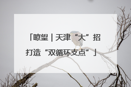 瞭望｜天津“大”招打造“双循环支点”