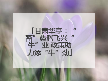 甘肃华亭：“畜”势腾飞兴“牛”业 政策助力添“牛”劲