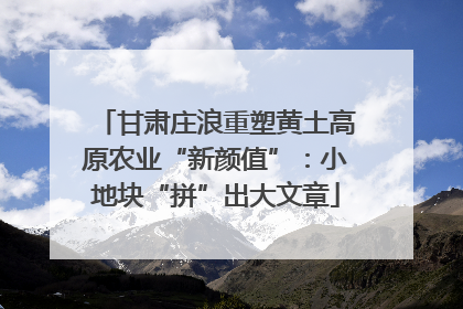 甘肃庄浪重塑黄土高原农业“新颜值”：小地块“拼”出大文章