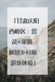 甘肃庆阳西峰区：赏花+采摘 解锁乡村旅游新体验