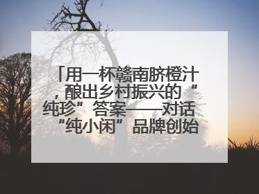 用一杯赣南脐橙汁，酿出乡村振兴的“纯珍”答案——对话“纯小闲”品牌创始人陈爱珍