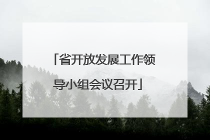 省开放发展工作领导小组会议召开