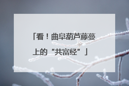 看！曲阜葫芦藤蔓上的“共富经”