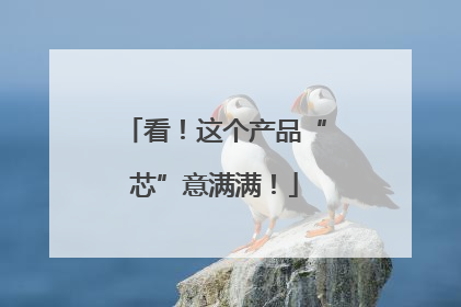 看！这个产品“芯”意满满！