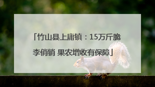 竹山县上庸镇：15万斤脆李俏销 果农增收有保障
