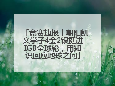 竞赛捷报丨朝阳凯文学子4金2银挺进IGB全球轮，用知识回应地球之问