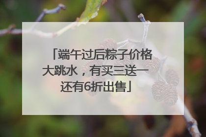 端午过后粽子价格大跳水，有买三送一还有6折出售