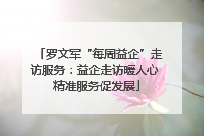 罗文军“每周益企”走访服务：益企走访暖人心 精准服务促发展
