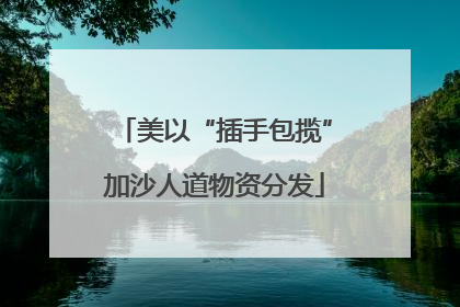 美以“插手包揽”加沙人道物资分发