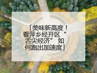 美味新高度！看萍乡经开区“舌尖经济” 如何跑出加速度