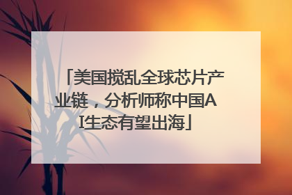 美国搅乱全球芯片产业链，分析师称中国AI生态有望出海