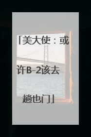 美大使：或许B-2该去趟也门